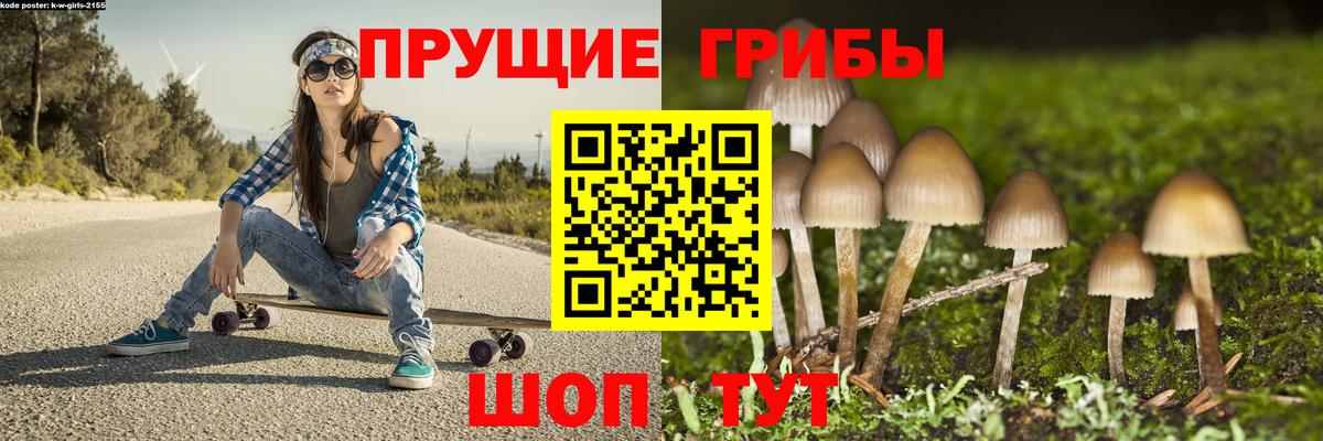 Псилоцибиновые грибы прущие грибы Мурманск