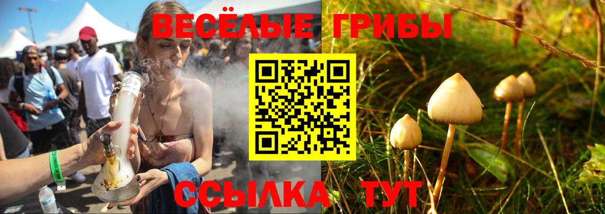 Мурманск  Галлюциногенные грибы GOLDEN TEACHER  Псилоцибиновые грибы мухоморы  Вход с VPN 